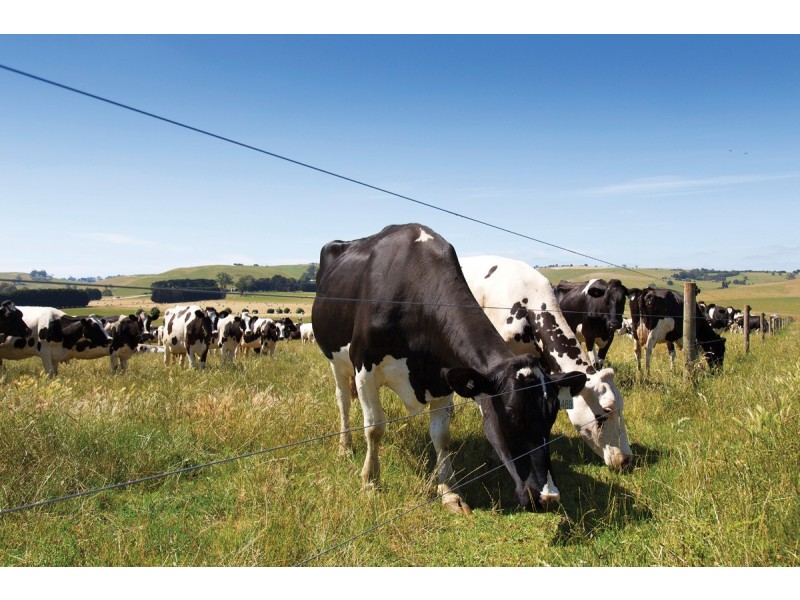 120 Backman’s Road Boorool, Leongatha VIC 3953