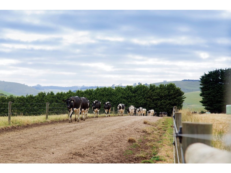 120 Backman’s Road Boorool, Leongatha VIC 3953