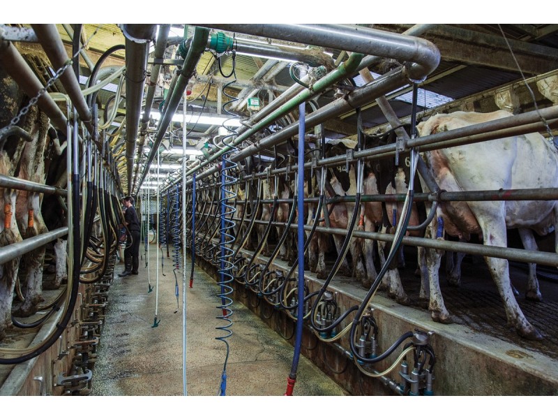 120 Backman’s Road Boorool, Leongatha VIC 3953