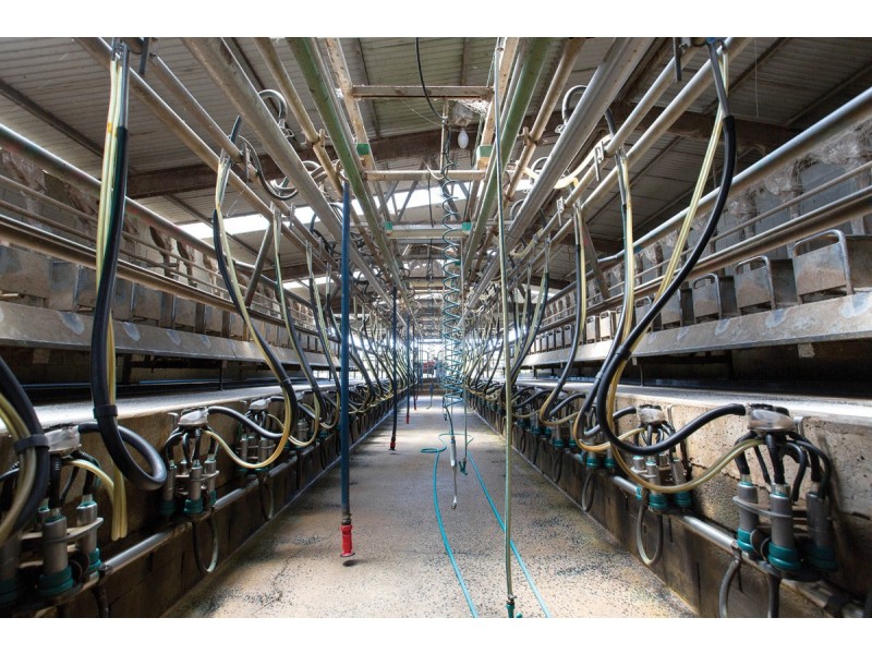 120 Backman’s Road Boorool, Leongatha VIC 3953