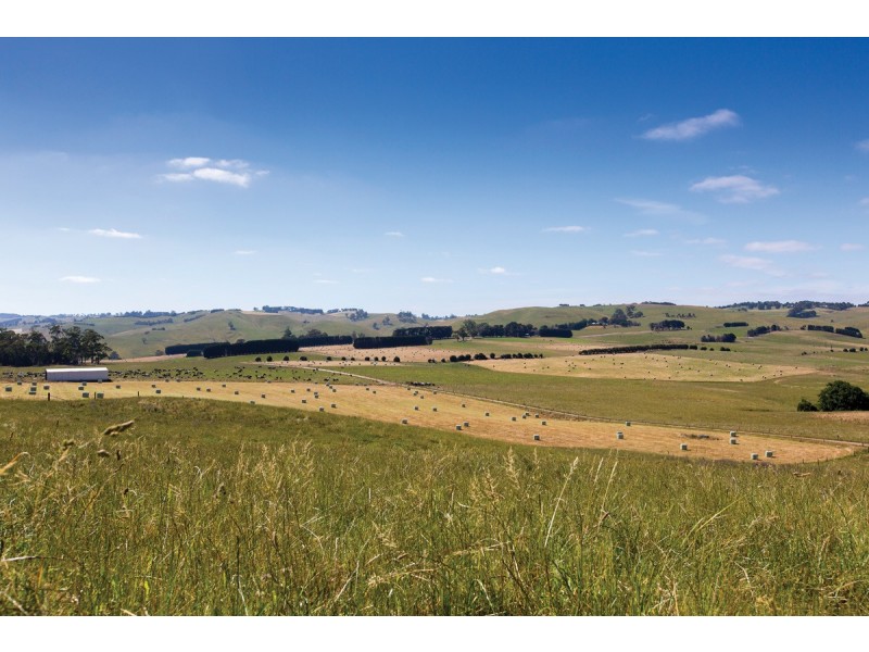 120 Backman’s Road Boorool, Leongatha VIC 3953