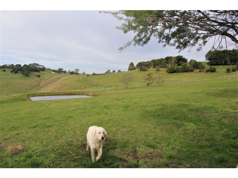 55 Fairbank Road, Korumburra VIC 3950