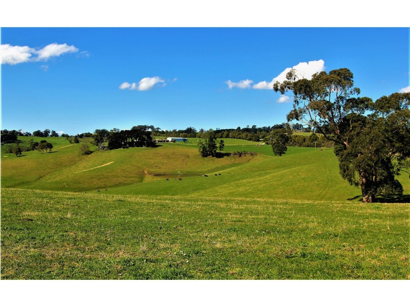 2905 Drouin-Korumburra Road, Poowong VIC 3988