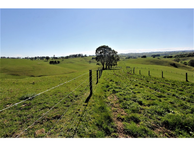2905 Drouin-Korumburra Road, Poowong VIC 3988