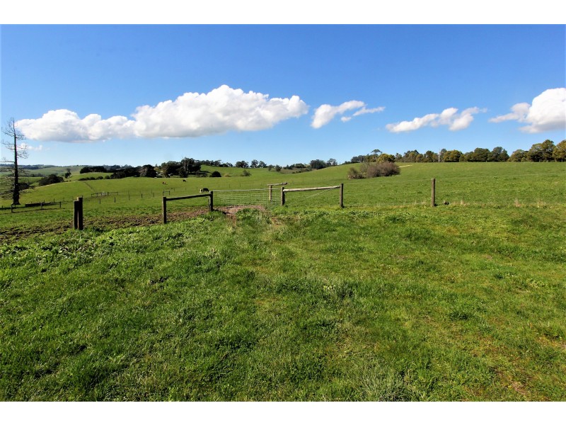 2905 Drouin-Korumburra Road, Poowong VIC 3988