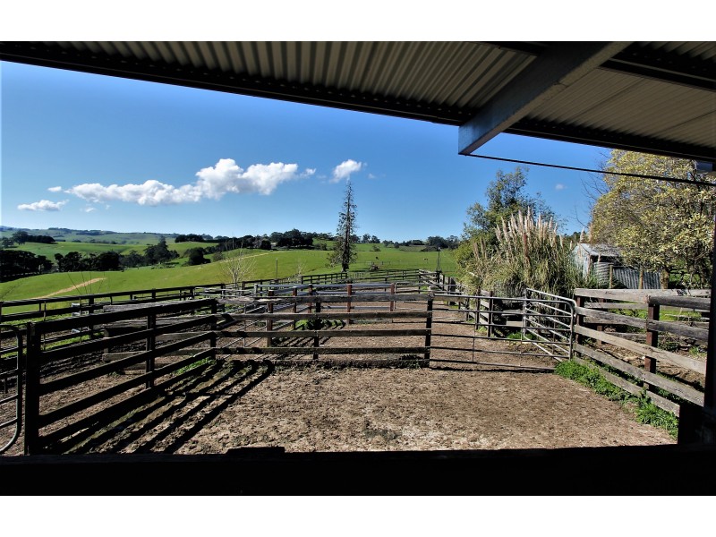 2905 Drouin-Korumburra Road, Poowong VIC 3988