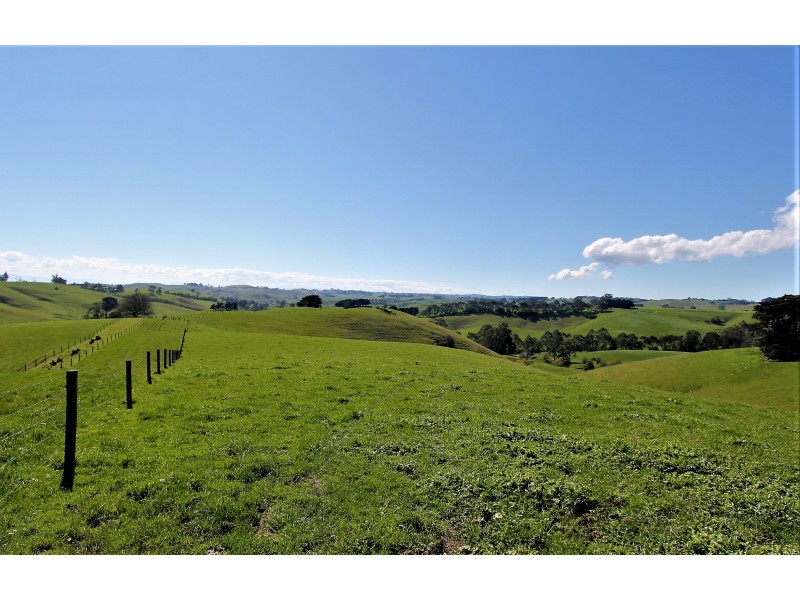 2905 Drouin-Korumburra Road, Poowong VIC 3988