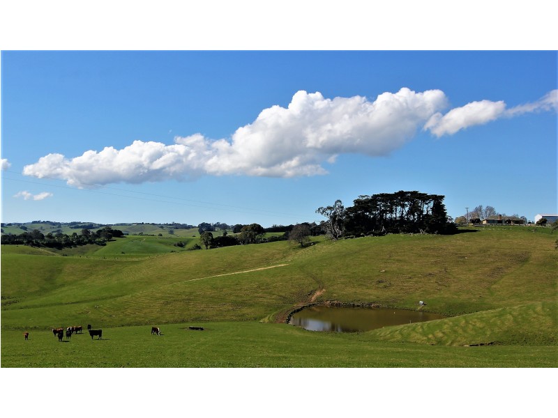 2905 Drouin-Korumburra Road, Poowong VIC 3988