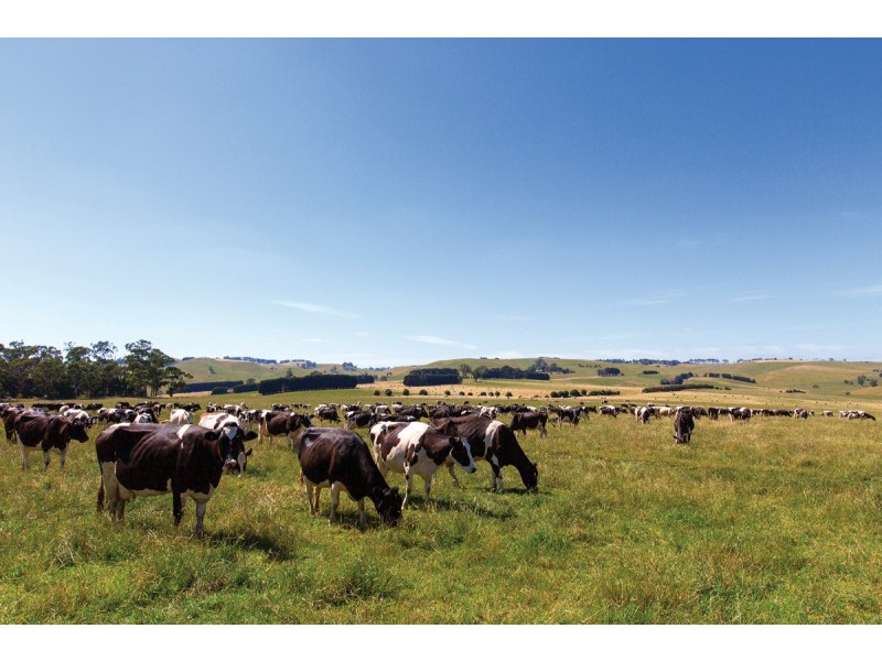 265 & 270 Huntingfords road, Boorool VIC 3953