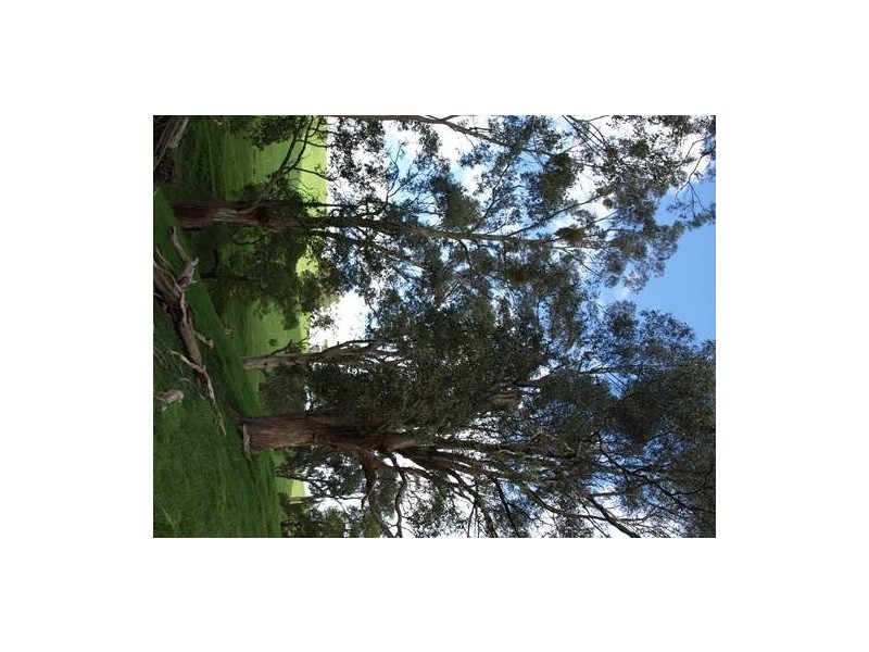 165 Soldiers Road, Loch VIC 3945