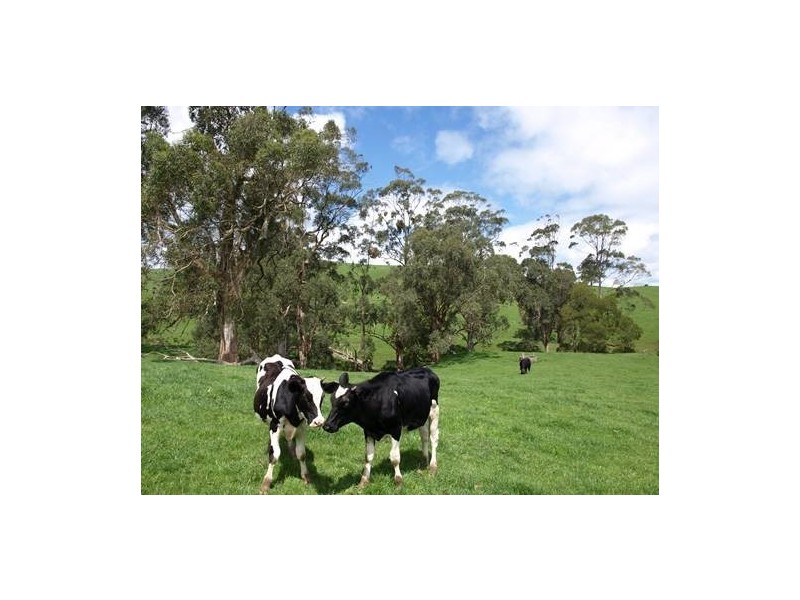 165 Soldiers Road, Loch VIC 3945