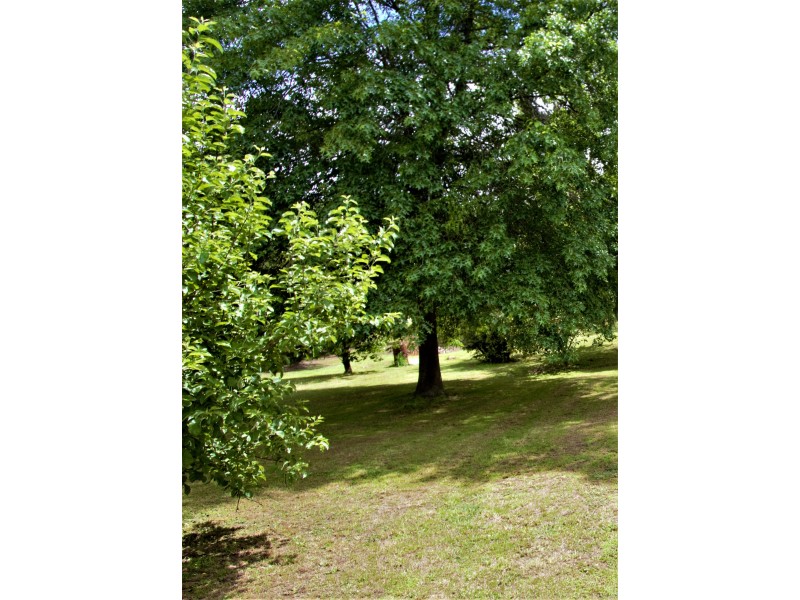 9000 South Gippsland Highway, Kardella South VIA, Korumburra VIC 3950