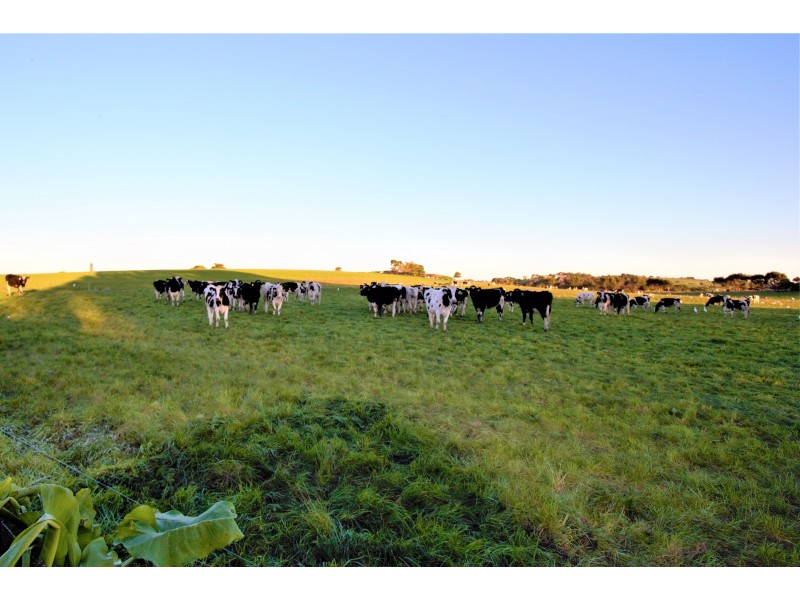 14 Range Court, Korumburra VIC 3950