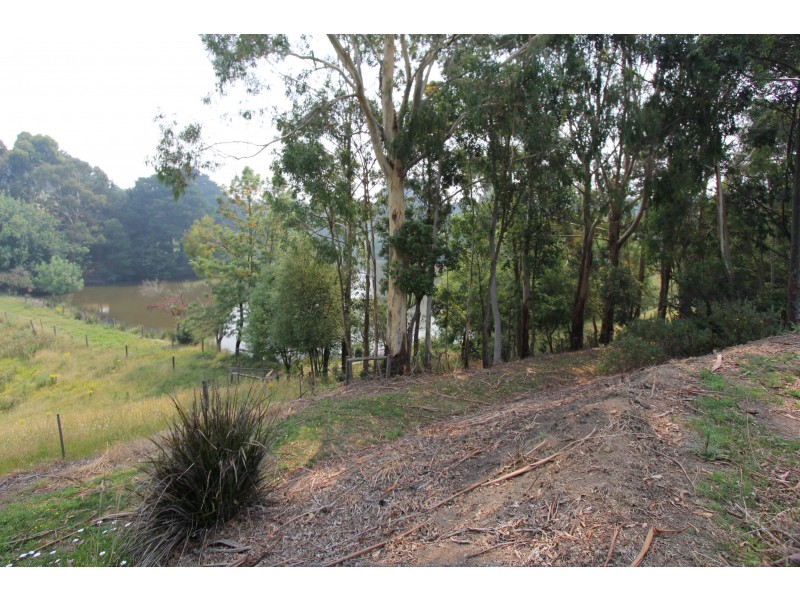 92 Shellcot Road, Korumburra VIC 3950