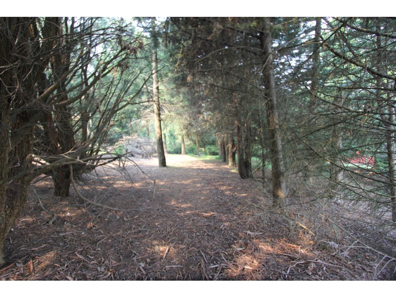 92 Shellcot Road, Korumburra VIC 3950