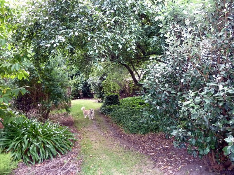 14 Gordon Street, Korumburra VIC 3950