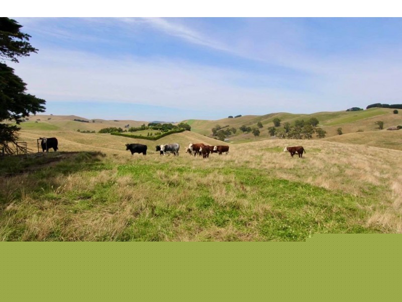 250 Buchanans Road, Bena VIC 3946