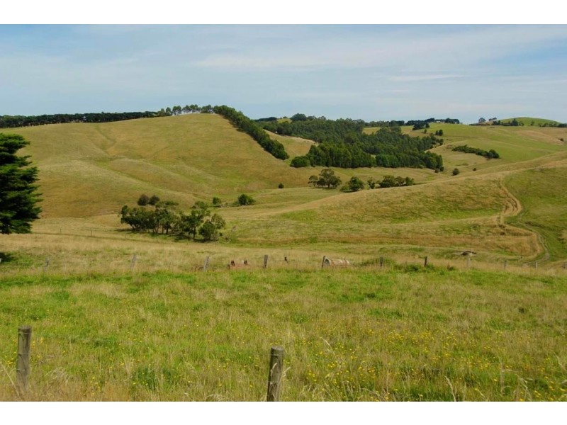 250 Buchanans Road, Bena VIC 3946