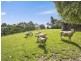 24 Elmores Road, Korumburra VIC 3950