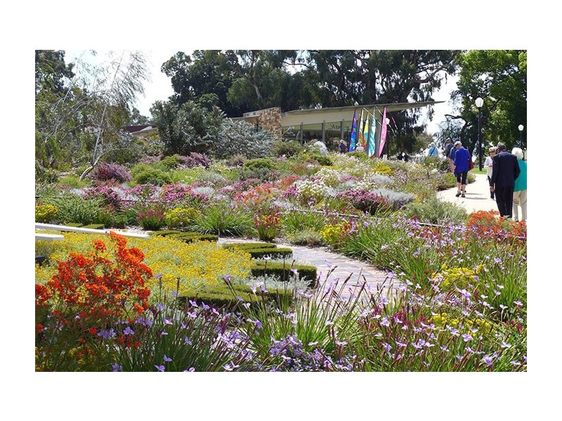 12/122 Mounts Bay Road, Perth WA 6000