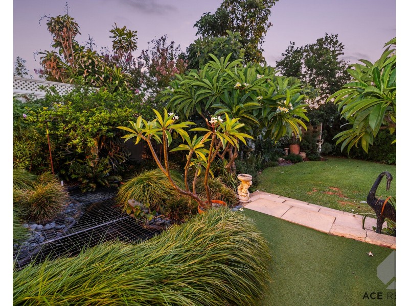 97 Ardross Street, Applecross WA 6153