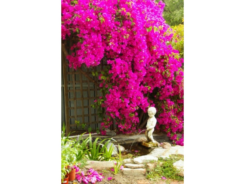 49 Douglas Avenue, South Perth WA 6151