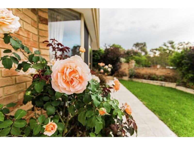 1/39 Ednah Street, Como WA 6152