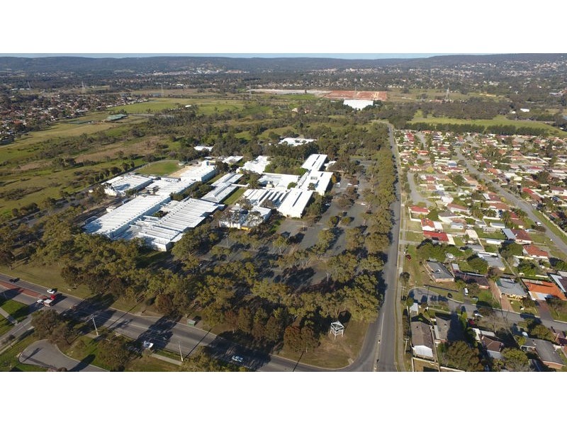 61 Wroxton Street, Midland WA 6056