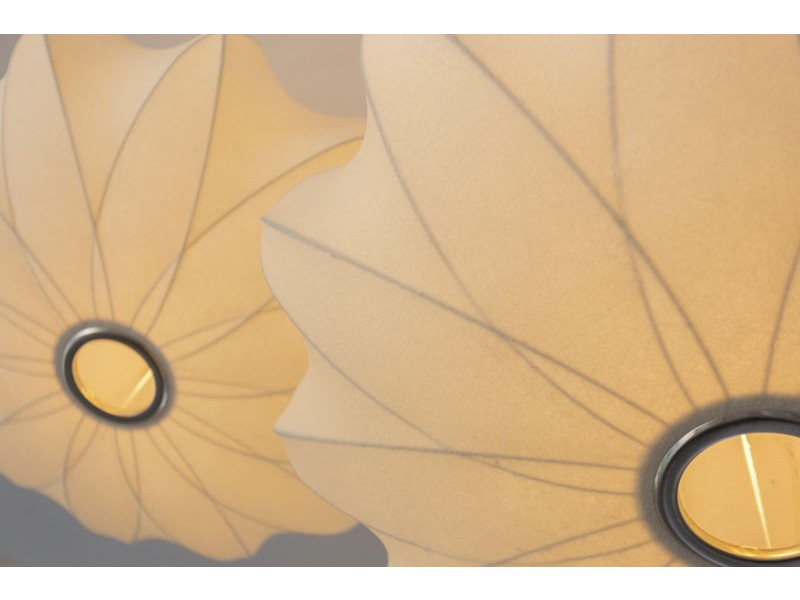 7 Anthus Corner, Waterford WA 6152