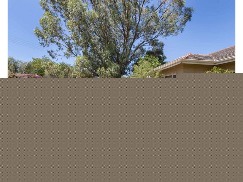 35 Welwyn Avenue, Manning WA 6152
