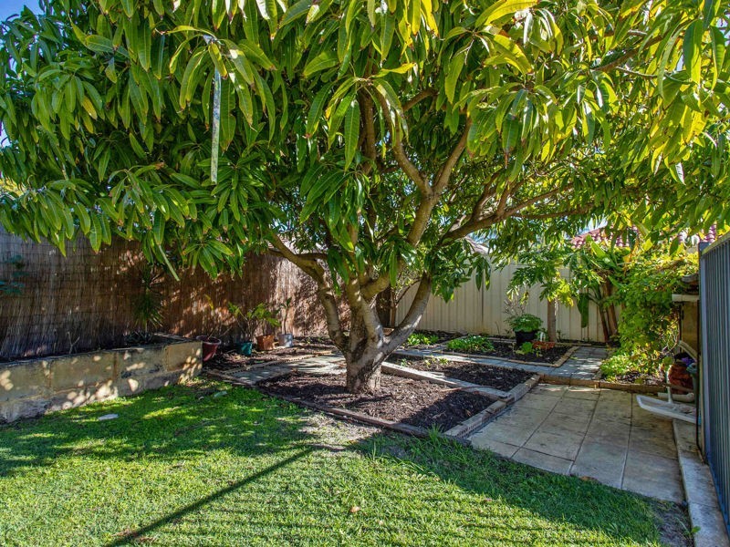 15 Griffin Crescent, Manning WA 6152