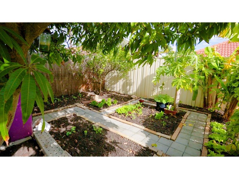 15 Griffin Crescent, Manning WA 6152