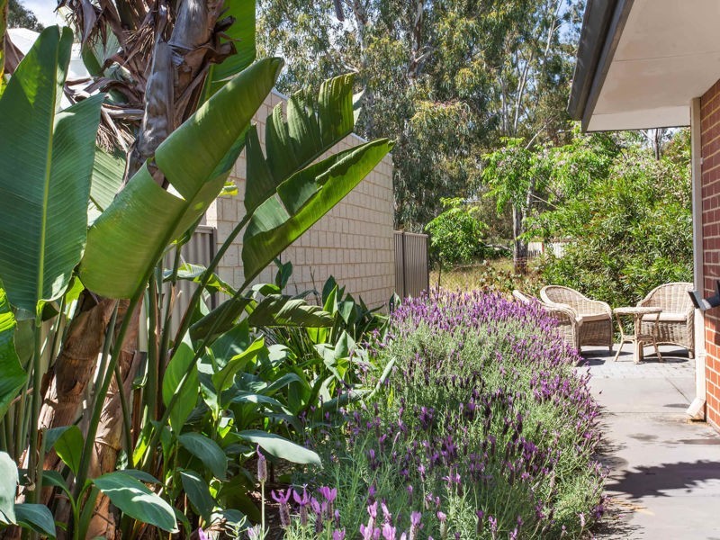 174 Streich Avenue, Kelmscott WA 6111