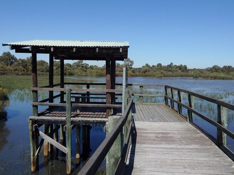 16 Hepburn Way, Booragoon WA 6154