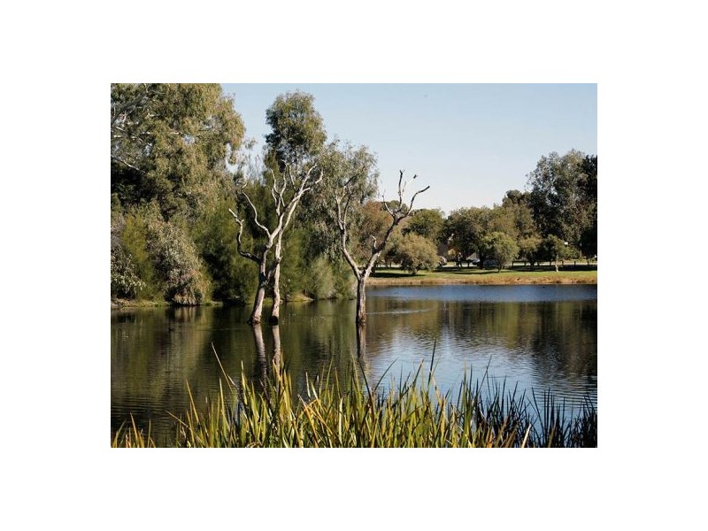 16 Bickley Crs, Manning WA 6152