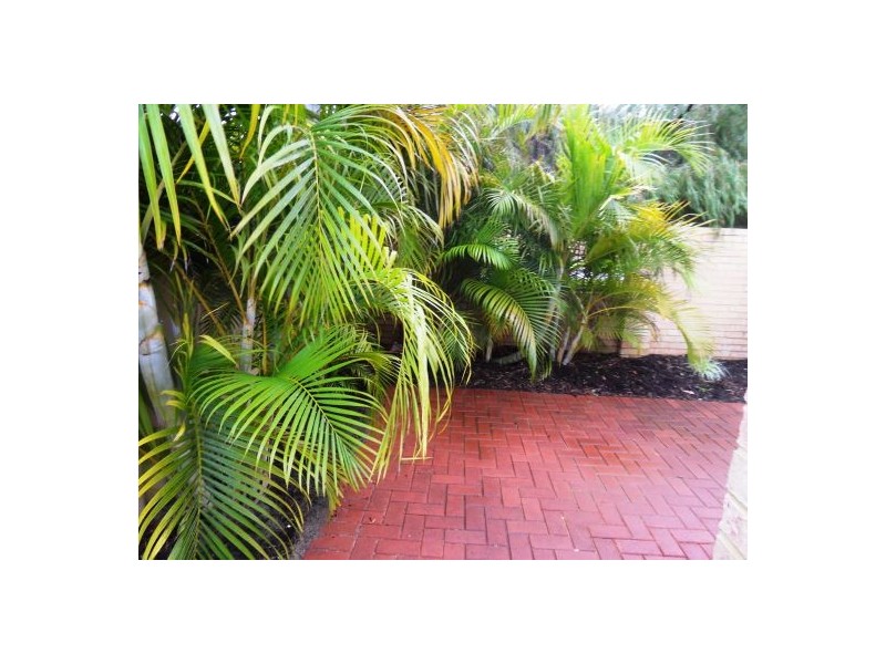 3/167-169 Hamilton Street, Queens Park WA 6107