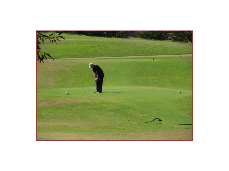 11 Sultana Lane, The Vines WA 6069