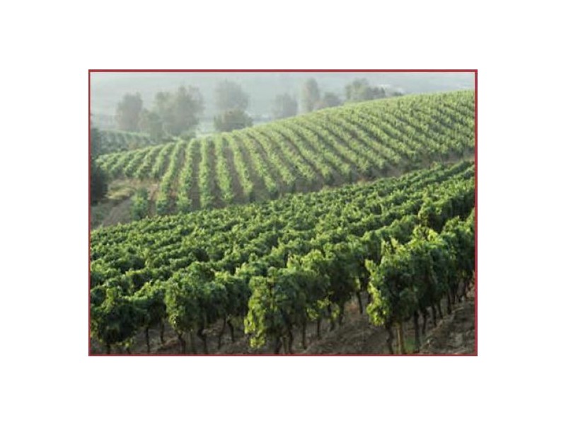 11 Sultana Lane, The Vines WA 6069