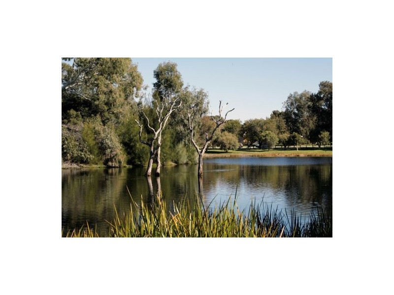 49 Cale St, Como WA 6152