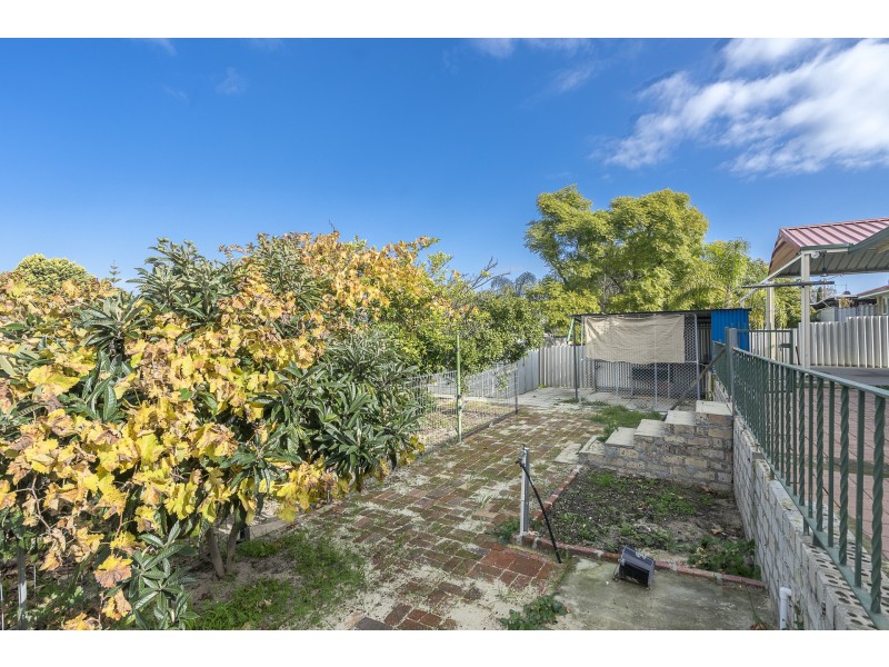 59 Koondoola Avenue, Koondoola WA 6064