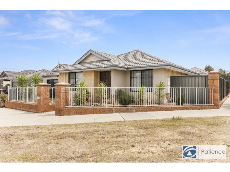 8 Paludosa Link, Banksia Grove WA 6031