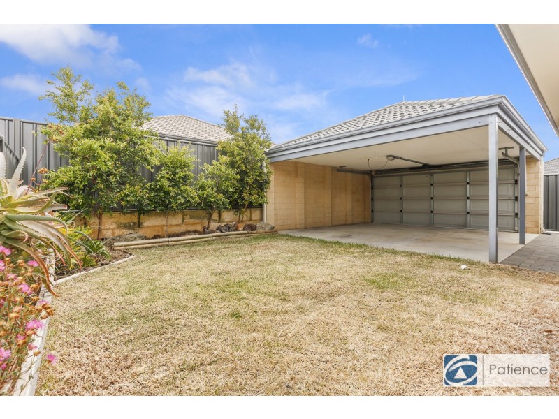 8 Paludosa Link, Banksia Grove WA 6031