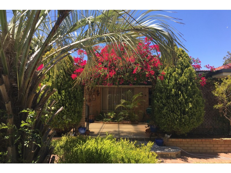 5 Columbus Mews, Currambine WA 6028