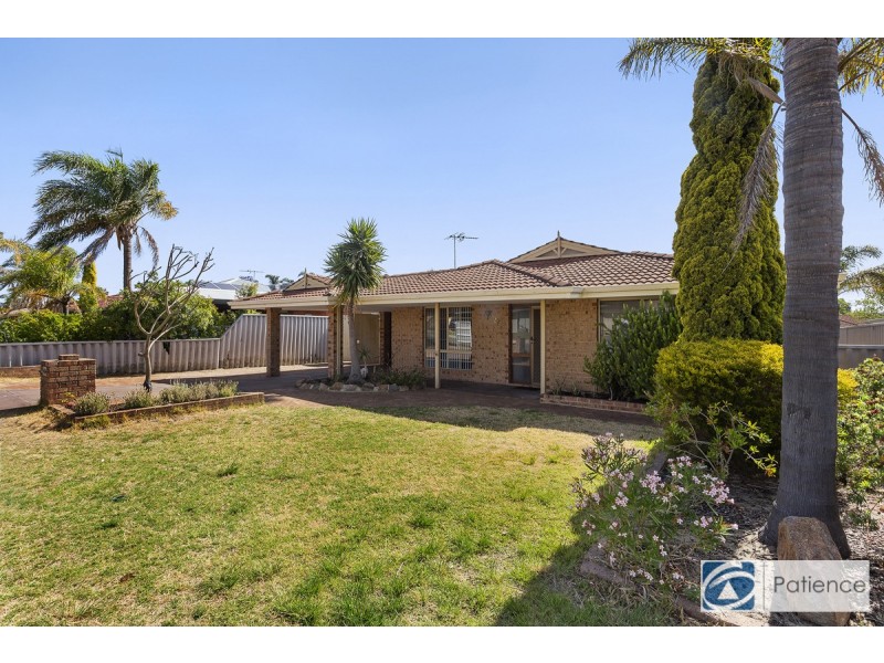 21 Salmon Gum Grove, Beechboro WA 6063