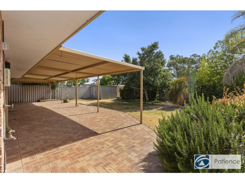 21 Salmon Gum Grove, Beechboro WA 6063