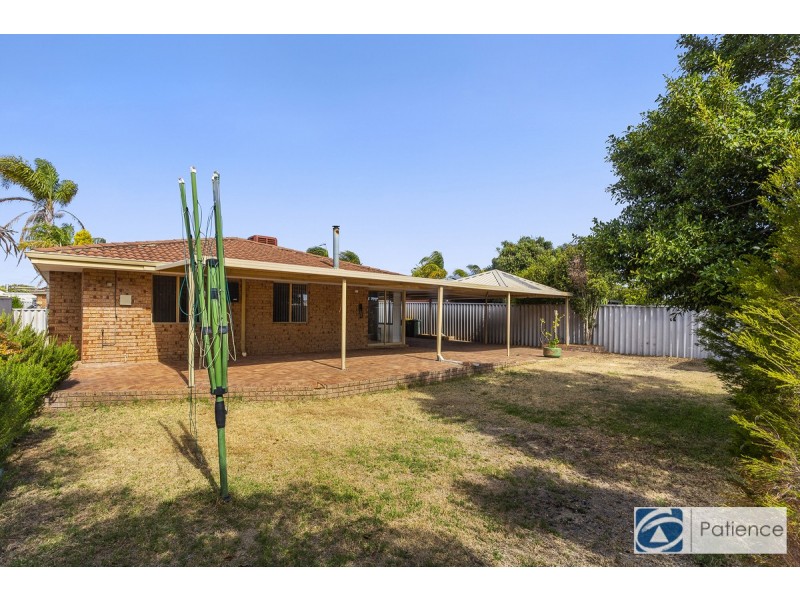 21 Salmon Gum Grove, Beechboro WA 6063