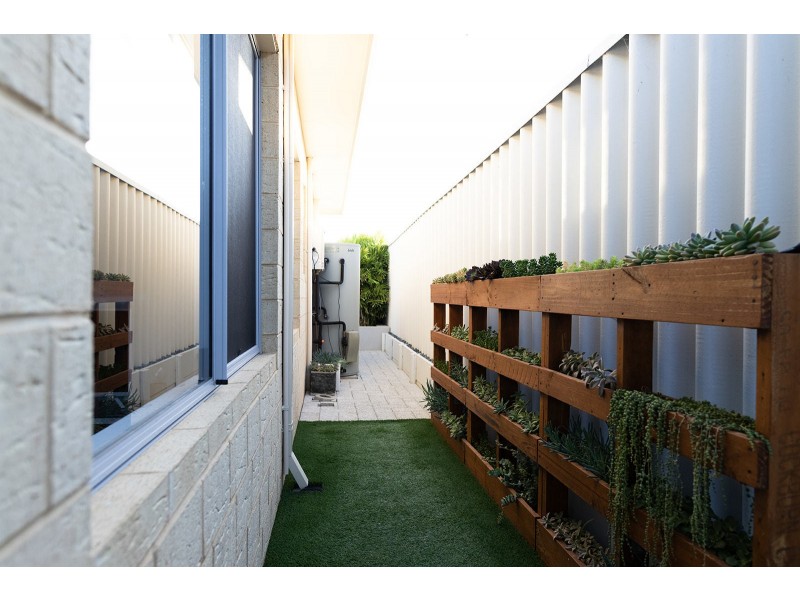 3 Chingford Way, Butler WA 6036