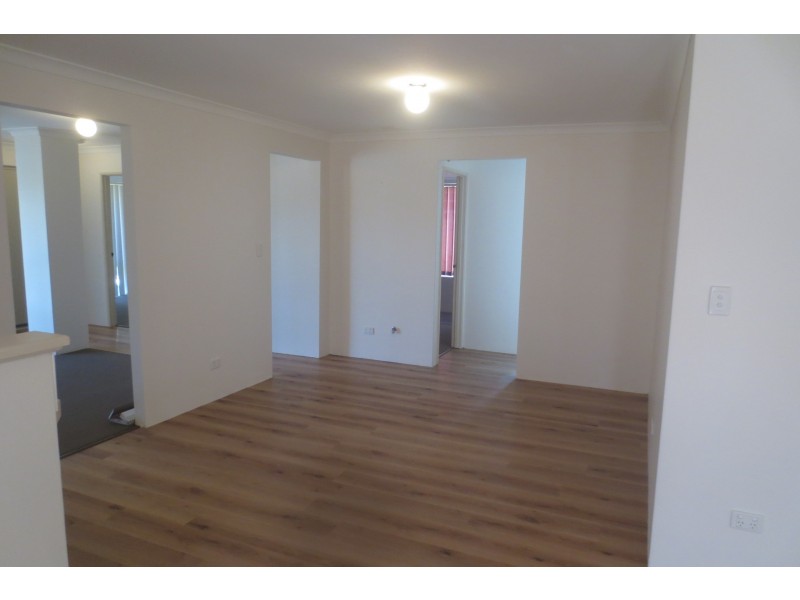 39 Frond Circuit, Banksia Grove WA 6031