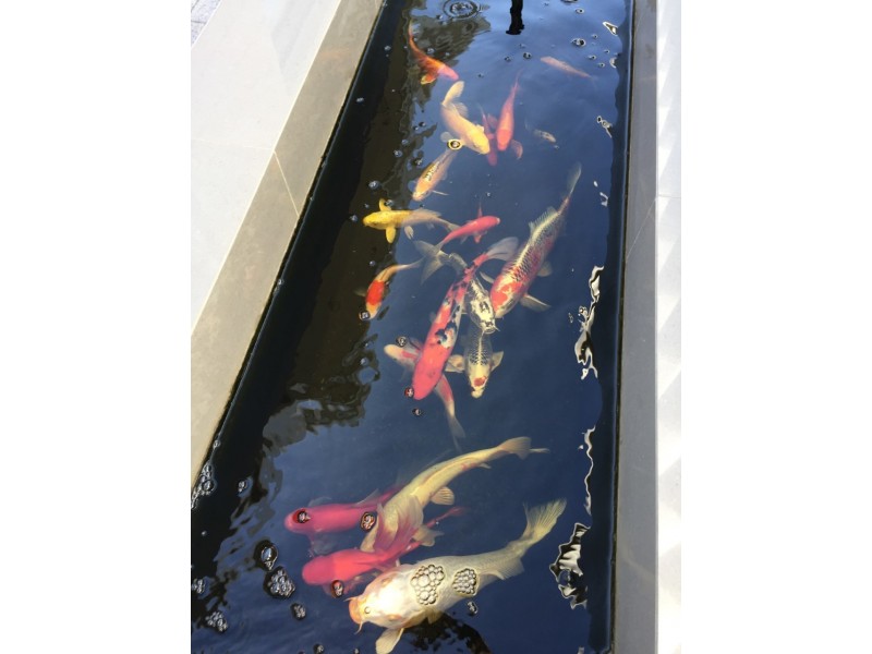 3 Chingford Way, Butler WA 6036