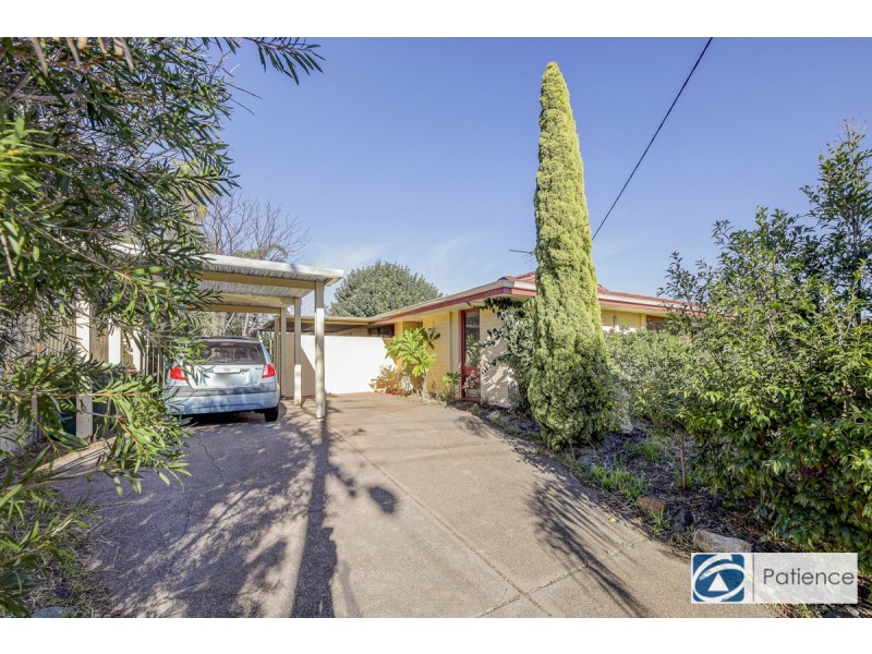 16 Sulina Place, Kallaroo WA 6025